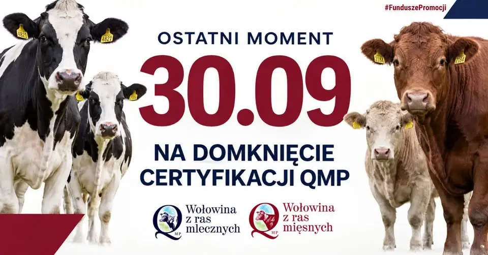 Certyfikat QMP – zostały tylko cztery dni. Rolnicy mogą stracić dopłaty