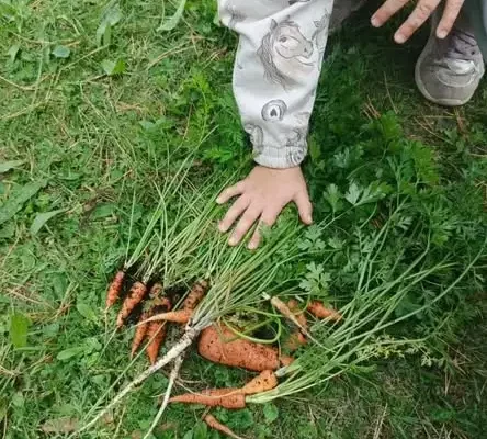 Edukacja ekologiczna w przedszkolu w Niewieścinie – projekt unijny