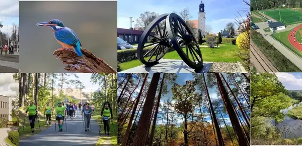 Bieg dla Dzieciństwa bez Przemocy w Tleniu – 24 października