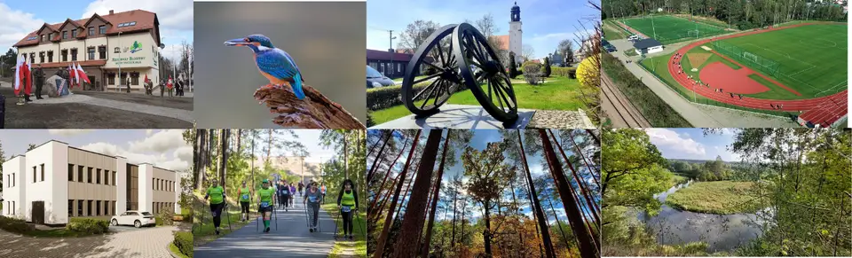 Bieg dla Dzieciństwa bez Przemocy w Tleniu – 24 października