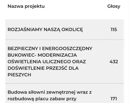 Bukowiec: 432 głosy w Budżecie Obywatelskim, ale projekt nie przejdzie