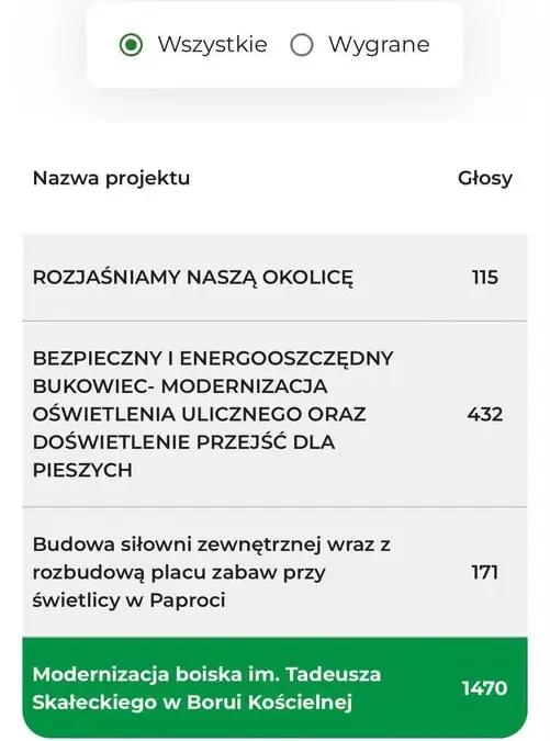 Bukowiec: 432 głosy w Budżecie Obywatelskim, ale projekt nie przejdzie