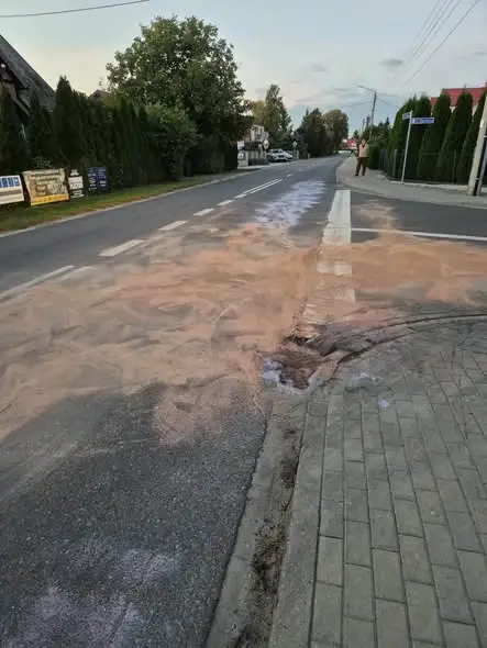 Plama oleju w Pruszczu — interwencja OSP Pruszcz