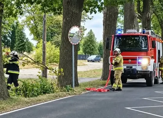 Interwencja strażaków z OSP Jeżewo — usuwanie zwisającego konaru w Laskowicach