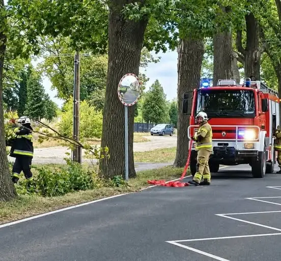 Interwencja strażaków z OSP Jeżewo — usuwanie zwisającego konaru w Laskowicach