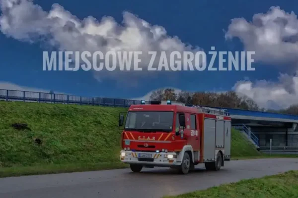 Drzewo na drodze wojewódzkiej 214 w Warlubiu — interwencja strażaków OSP