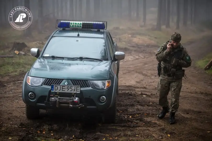 Straż Leśna rusza z akcją „Stroisz 26” – sprawdzą, skąd pochodzą świąteczne dekoracje
