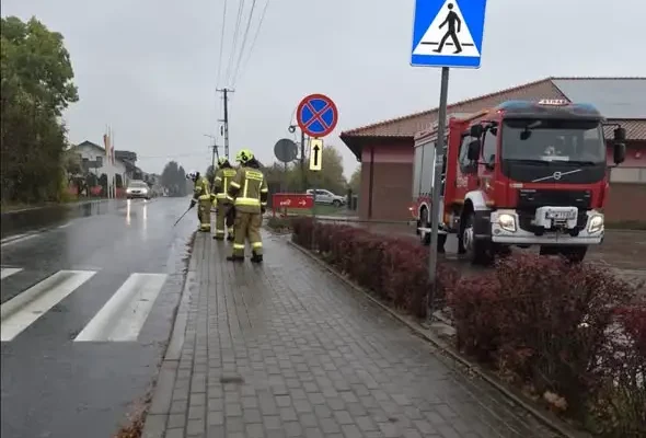 Plama oleju w Pruszczu — interwencja OSP i policji