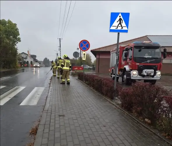 Plama oleju w Pruszczu — interwencja OSP i policji
