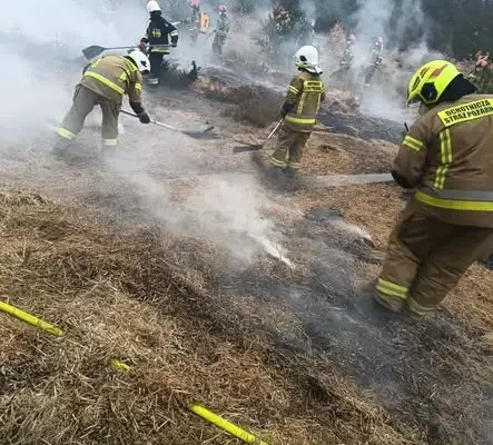 Strażacy z Warlubia szkolili się na poligonie w Grupie z gaszenia pożarów lasów